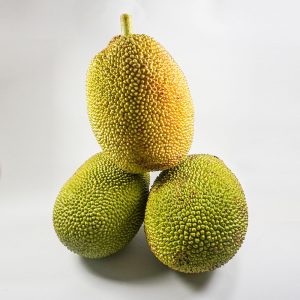 MT-FRUIT-fruit-and-vegetables-manufacturer-fresh-produce-supplier-in-Vietnam-frozen-fruits-frozen-vegetables-processing-company-fresh-fruits-fresh-vegetables-MTFruit-Jackfruit-2