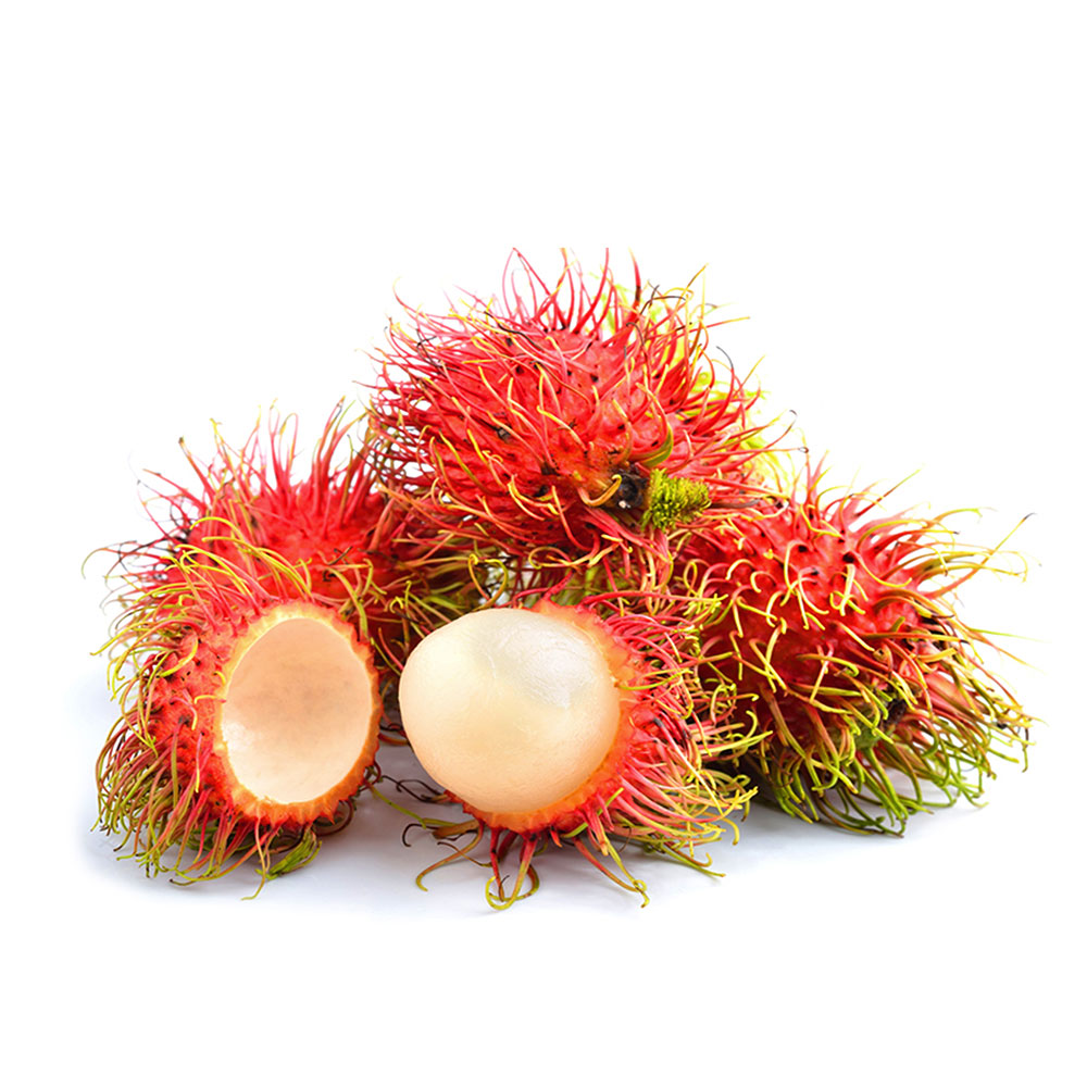 MT Fruit trái cây rau củ quả tươi nhà sản xuất trái cây đông lạnh rau củ quả đông lạnh các sản phẩm nông sản đông lạnh tại Vietnam xuất khẩu toàn thế giới nhà cung cấp trái cây MTFruit chôm chôm
