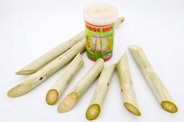 Sugar Cane