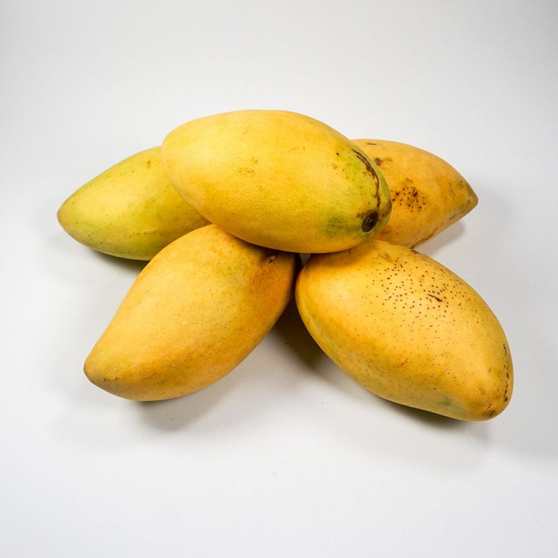 Great benefits of mango for health MTFruit Fruit & Vegetables