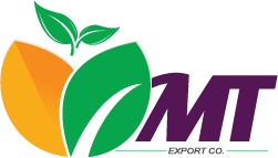 MTFruit | Fruit & Vegetables Global Supplier