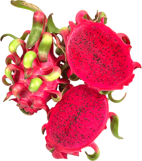 MT-Fruit-fruits-and-vegetables-fresh-fruits-and-vegetables-frozen-fruits-and-frozen-vegetables-MTFruit-company-Vietnam-dragon-fruits