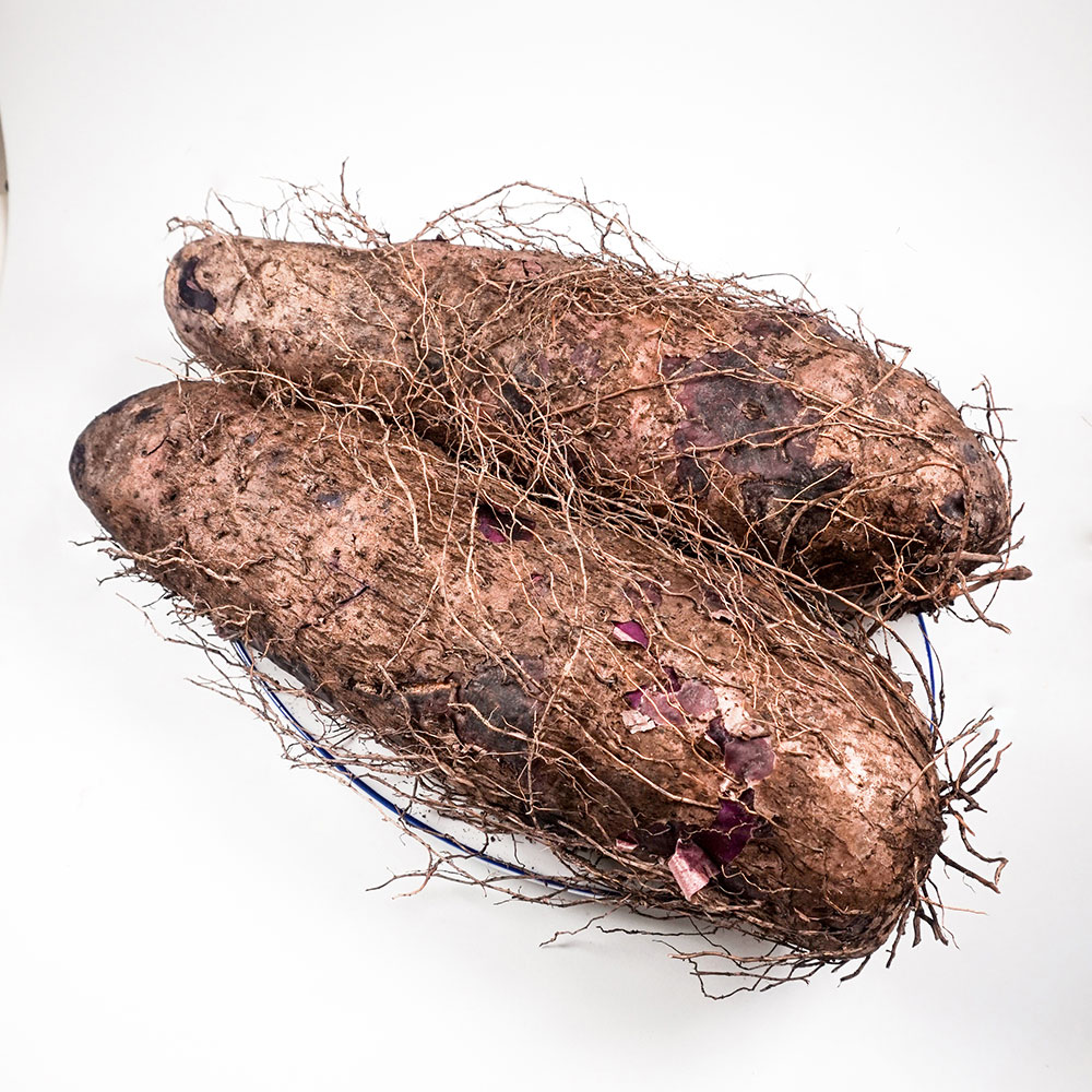 Yams MTFruit Fruit & Vegetables Global Supplier