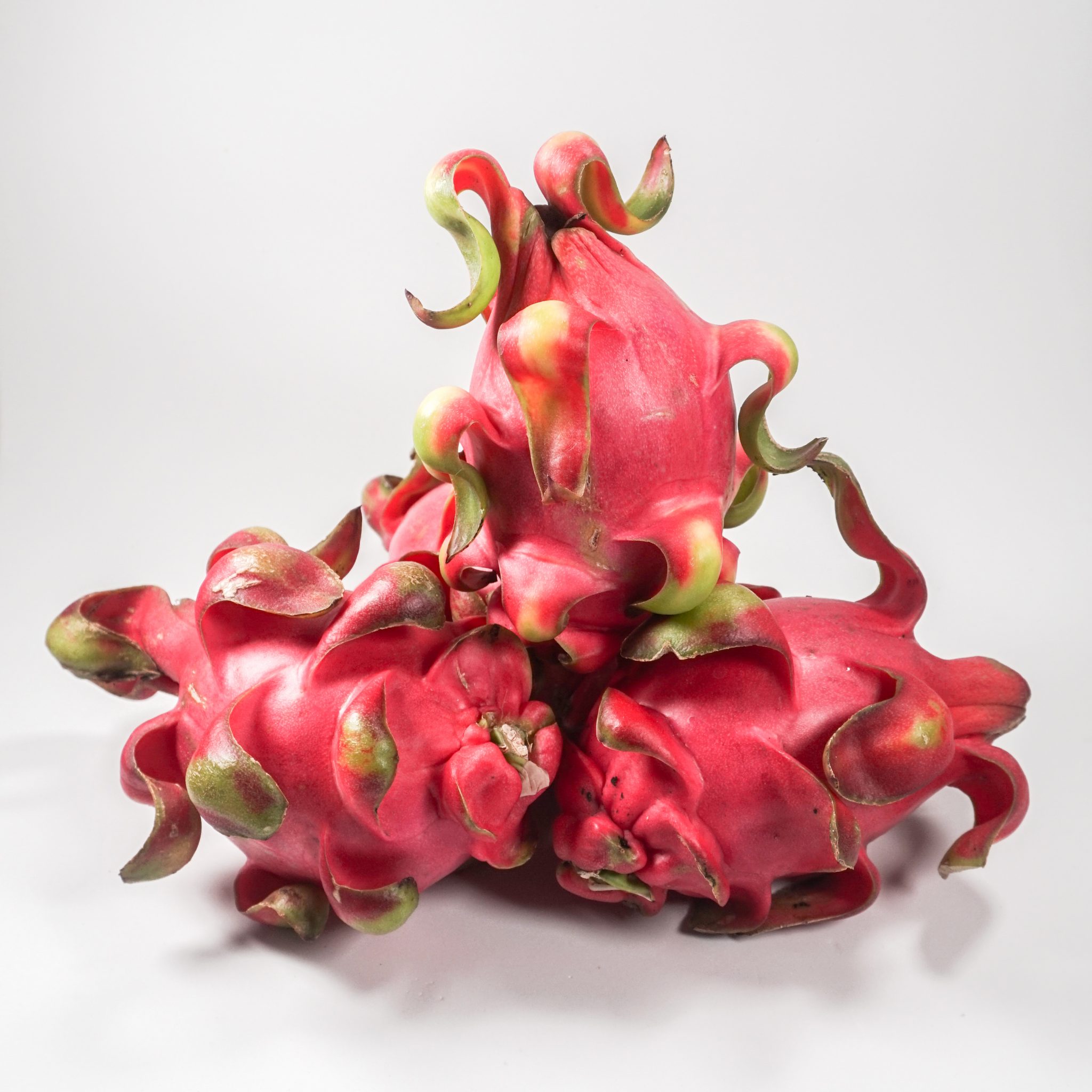 Frozen Dragon Fruit MTFruit Fruit & Vegetables Global Supplier