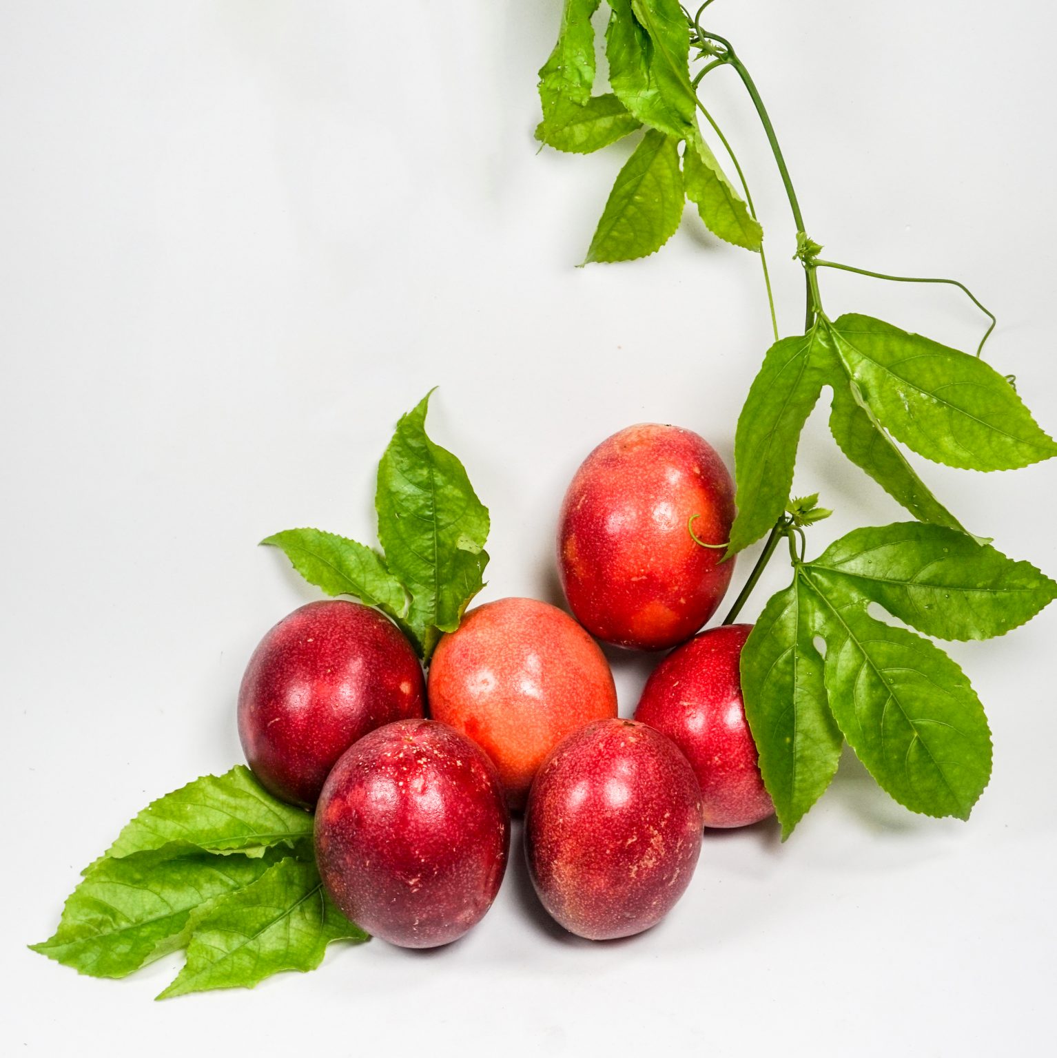 Frozen Passion Fruit MTFruit Fruit & Vegetables Global Supplier